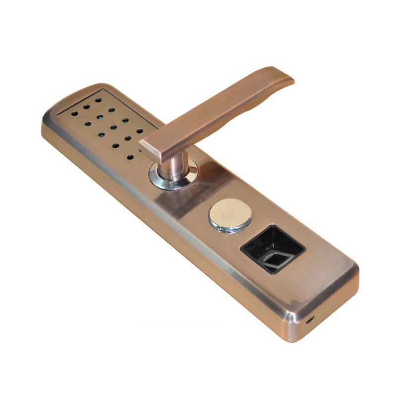 Aluminum Alloy Die Casting China Custom Factory Metal Casing Smart Home Door Lock